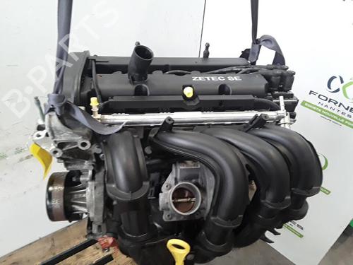 Motor FORD FIESTA V (JH_, JD_) 1.6 16V (100 hp) 30015954