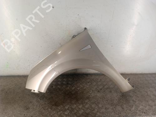 Used Left front fenders RENAULT GRAND SCÉNIC II (JM0/1_) 1.5 dCi (JM1E) (106 hp) 30010627