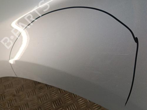 Forskærm venstre CITROËN C4 II (NC_) 1.6 HDi 115 | BP30010171C41