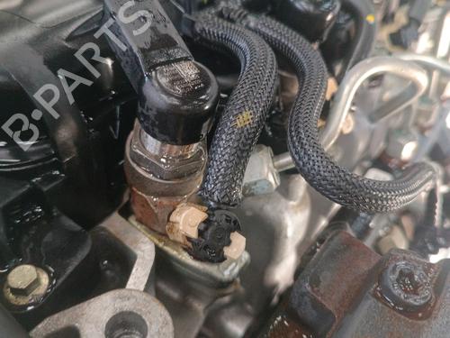 Engine RENAULT MEGANE IV Hatchback (B9A/M/N_) 1.5 dCi 110 (B9A3) | BP30012571M1 