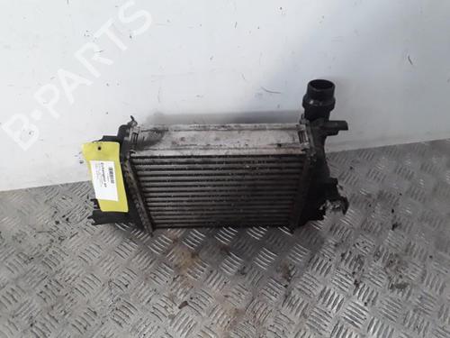 Used Intercooler RENAULT CLIO IV (BH_) 1.5 dCi 75 (75 hp) 30021095