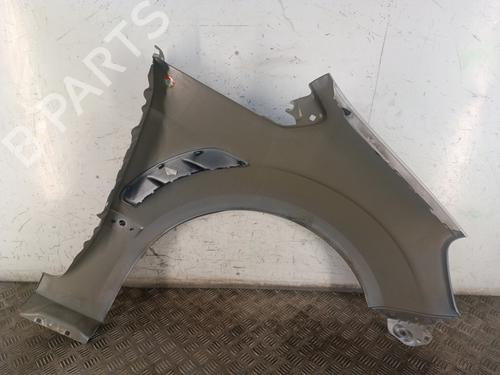 Left front fenders FORD S-MAX (WA6) 2.0 TDCi | BP30017634C41