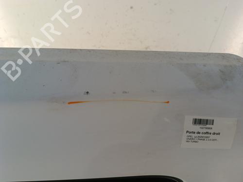 Right tailgate OPEL VIVARO A Van (X83) 2.0 CDTI (F7) | BP30020382C77