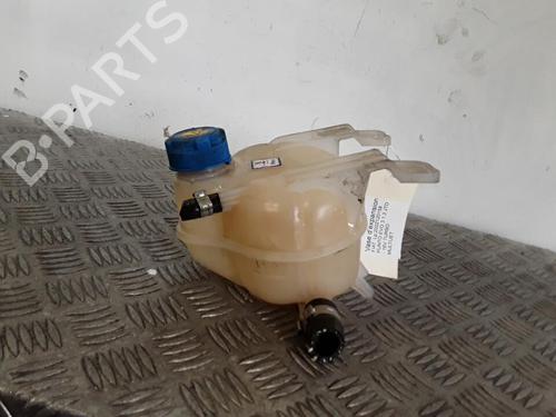 Used Expansion tank FIAT PUNTO EVO (199_) 1.3 D Multijet (199AXC1A, 199BXC1A, 199AXT1A, 199BXT1A) (75 hp) 30016327