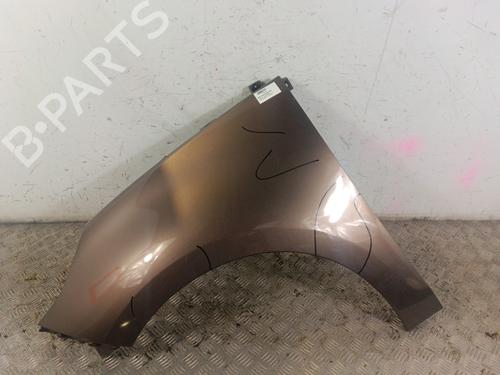 Used Left front fenders RENAULT GRAND SCÉNIC III (JZ0/1_) 1.9 dCi (JZ0J, JZ0N, JZ1K, JZ1S) (131 hp) 30020527