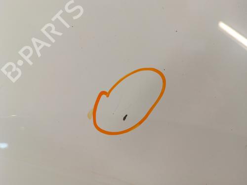 Right front fenders RENAULT KANGOO / GRAND KANGOO II (KW0/1_) 1.5 dCi 90 (KW05, KW08, KW0G, KW11) | BP30023117C42 