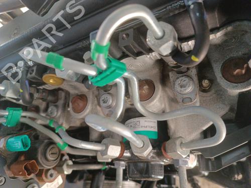 Engine NISSAN MICRA III (K12) 1.5 dCi | BP30020666M1