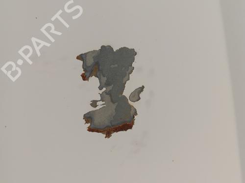 Hood RENAULT KANGOO (KC0/1_) 1.2 16V (KC05, KC06, KC03, KC0T, KC0W, KC1D) | BP30018060C1