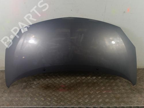 Used Hood RENAULT TWINGO II (CN0_) 1.5 dCi (CN0E) (64 hp) 30008713