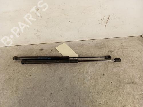 Tailgate lift support CITROËN C3 I (FC_, FN_) 1.1 i | BP30020366C138