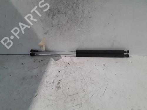 Tailgate lift support RENAULT LAGUNA II Grandtour (KG0/1_) 1.9 dCi | BP30021537C138