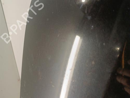 Hood RENAULT LAGUNA II Grandtour (KG0/1_) 2.2 dCi (KG0F) | BP30012595C1