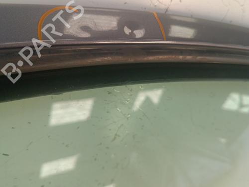 Left front door CITROËN C3 I (FC_, FN_) 1.4 i | BP30014196C2 