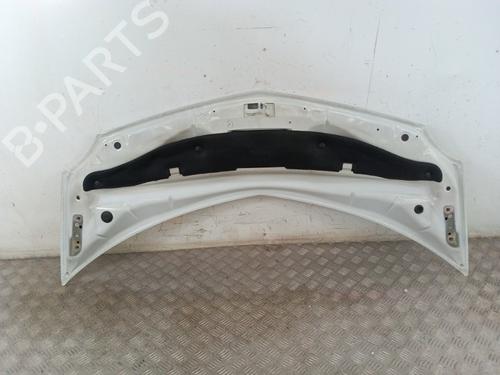 Hood RENAULT MODUS / GRAND MODUS (F/JP0_) 1.5 dCi (FP0D, JP0D) | BP30024094C1 