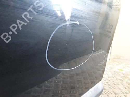 Used Left front door DACIA SANDERO 1.4 (BS0C, BS0A, BS0G, BS1F, BS0E) (75 hp) 30027125