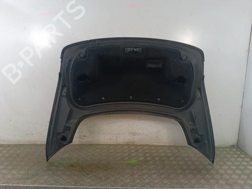 Tailgate RENAULT LAGUNA Coupe (DT0/1) 2.0 dCi (DT01, DT08, DT09, DT0K, DT12, DT1C, DT1D, DT1M,... | BP30018583C6 