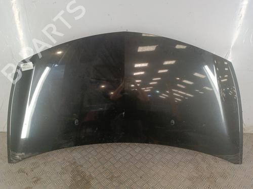 Motorhjelm Motorhjelm RENAULT CLIO III (BR0/1, CR0/1) 1.5 dCi (BR17, CR17) (86 hp) 38514979 38514979