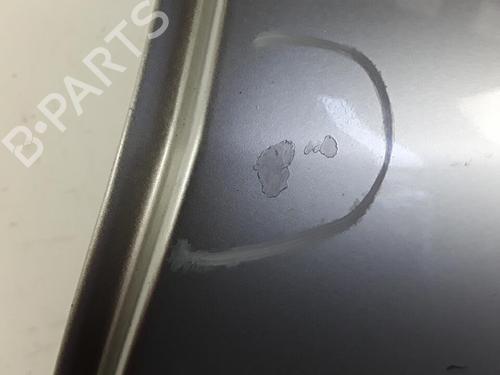 Left rear door RENAULT MEGANE III Hatchback (BZ0/1_, B3_) 1.5 dCi (BZ09, BZ0D, BZ1W, BZ29, BZ14) | BP30027189C4