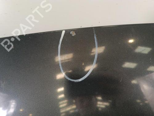 Used Hood FIAT PUNTO EVO (199_) 1.3 D Multijet (199AXC1A, 199BXC1A, 199AXT1A, 199BXT1A) (75 hp) 30024406