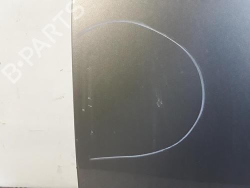 Left front door BMW X3 (E83) 2.0 d | BP30021946C2 