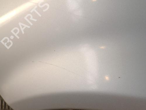 Left front fenders HYUNDAI TRAJET (FO) 2.0 CRDi | BP30018206C41