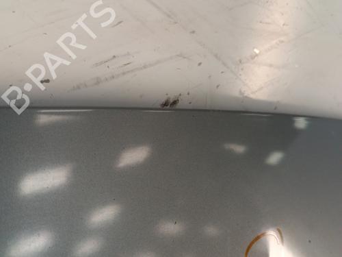 Hood FIAT GRANDE PUNTO (199_) 1.3 D Multijet | BP30017792C1 