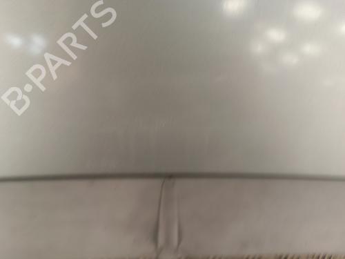 Hood FIAT GRANDE PUNTO (199_) 1.3 D Multijet | BP30017792C1 