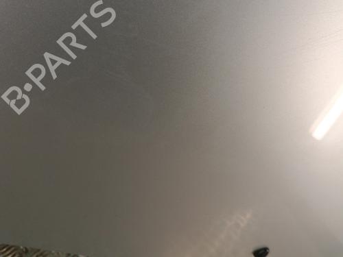 hood-citroen-c3-ii-sc_-2009-32341661 main image