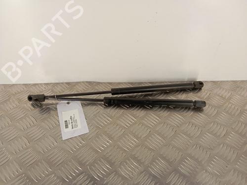 Used Tailgate lift support RENAULT MEGANE II (BM0/1_, CM0/1_) 1.5 dCi (BM02, BM13, BM2A, CM02, CM13) (101 hp) 30008117