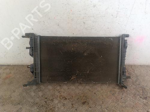 water-radiator-renault-megane-iii-hatchback-bz01_-b3_-2008-30015077 main image