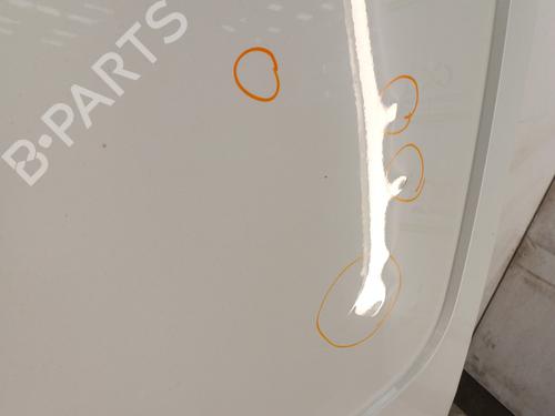 Right tailgate FIAT TALENTO Van (296_) 1.6 D | BP30012655C77