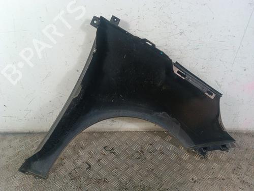 Left front fenders RENAULT GRAND SCÉNIC III (JZ0/1_) 1.9 dCi (JZ0J, JZ0N, JZ1K, JZ1S) | BP30020527C41 