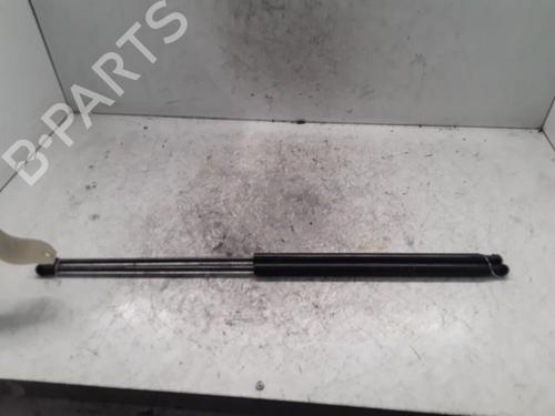 Used Tailgate lift support NISSAN JUKE (F15) 1.5 dCi (110 hp) 30019410