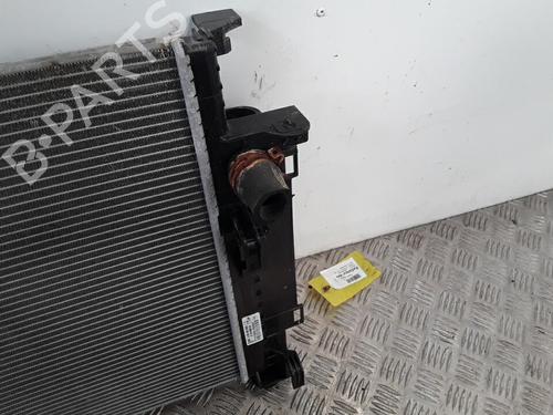 Køler RENAULT TWINGO III (BCM_, BCA_) 1.0 SCe 75 (73 hp) 30016092