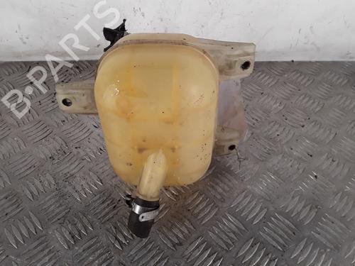 Expansion tank FIAT DOBLO Box Body/MPV (223_) 1.3 D Multijet | BP30391861C120