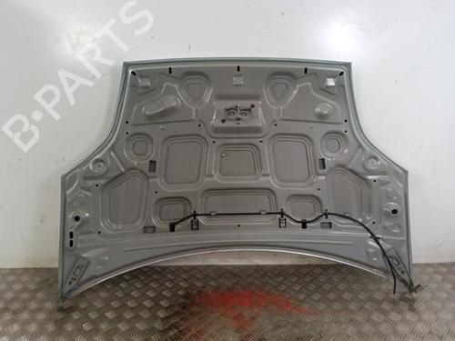 Panser FORD FIESTA V (JH_, JD_) 1.4 16V (80 hp) 30024804