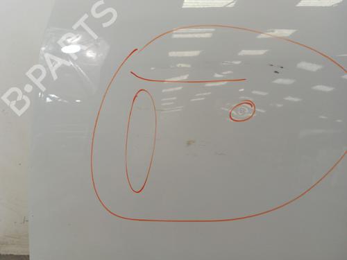 Left front door RENAULT SCÉNIC III (JZ0/1_) 1.5 dCi (JZ02, JZ0R) | BP30018856C2 