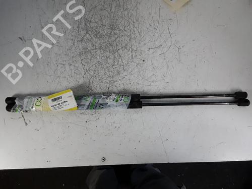 Used Tailgate lift support FORD FOCUS C-MAX (DM2) 1.8 TDCi (115 hp) 30022015