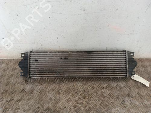 Intercooler RENAULT MASTER II Van (FD) 2.8 dTI (FD0C, FD0F, FD2B, FD2F, FD3C, FD3F) | BP30019022M30
