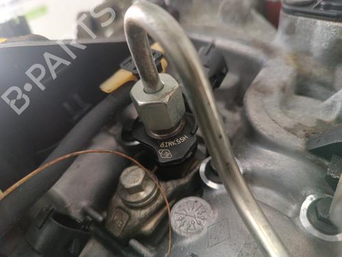 Engine RENAULT LAGUNA III Grandtour (KT0/1) 2.0 dCi (KT07, KT0J, KT14, KT1A, KT1S) | BP30020421M1 