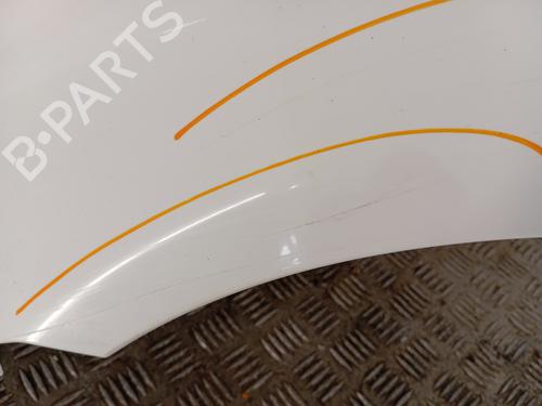 Left front fenders RENAULT CLIO II (BB_, CB_) 1.5 dCi (B/CB07) | BP30007824C41 