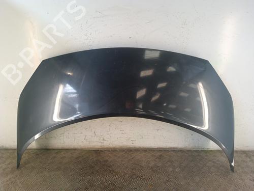 Motorhaube für RENAULT SCÉNIC II (JM0/1_) 1.9 dCi (JM0G, JM12, JM1G, JM2C) (120 hp) 30025096