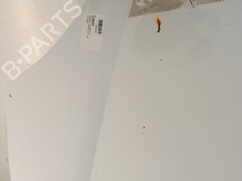 Hood RENAULT KANGOO (KC0/1_) 1.2 16V (KC05, KC06, KC03, KC0T, KC0W, KC1D) | BP30018060C1