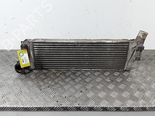 Used Intercooler Intercooler RENAULT MEGANE II (BM0/1_, CM0/1_) 1.9 dCi (BM0G, CM0G) (120 hp) 30015640 30015640