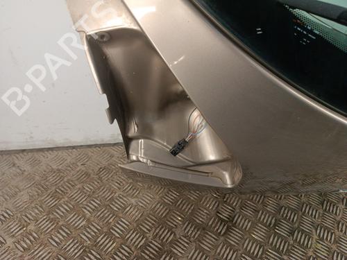 Tailgate RENAULT MEGANE III Hatchback (BZ0/1_, B3_) 1.9 dCi (BZ0N, BZ0J) | BP31095305C6