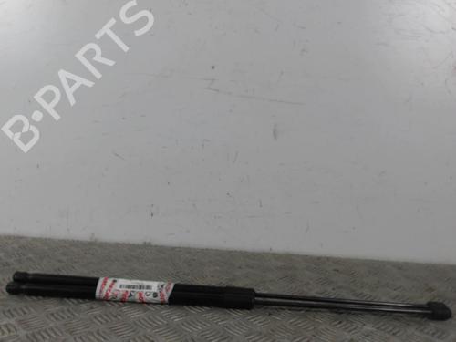 Used Tailgate lift support RENAULT MEGANE III Coupe (DZ0/1_) 1.5 dCi (DZ09, DZ0D, DZ1F, DZ1G, DZ14, DZ29) (110 hp) 30022560