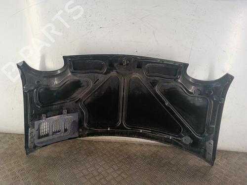 Hood RENAULT TWINGO I (C06_) 1.2 (C066, C068) | BP30017621C1