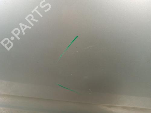 Left front door NISSAN PATHFINDER III (R51) 2.5 dCi 4WD | BP30012840C2