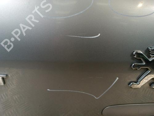 Klapa tylna bagażnika PEUGEOT 307 (3A/C) 2.0 HDi 110 | BP30013155C6 