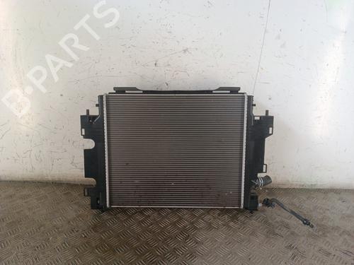 Køler RENAULT TWINGO III (BCM_, BCA_) Z.E: (BCA1) (82 hp) 30010386